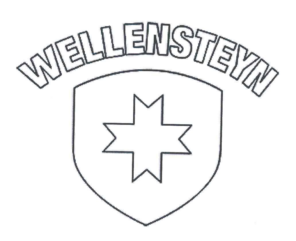  em>wellensteyn /em>