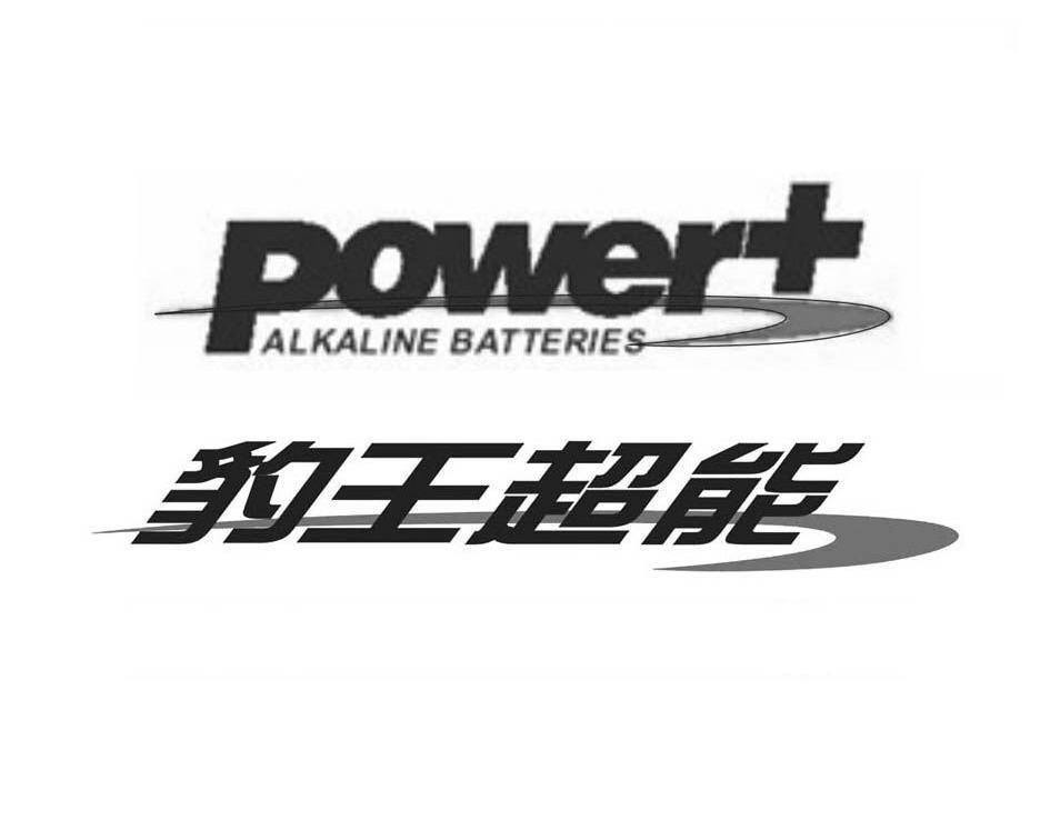  em>豹王 /em> em>超能 /em> em>power /em>  em>alkaline /em> em>