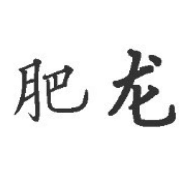 em>肥龙/em>