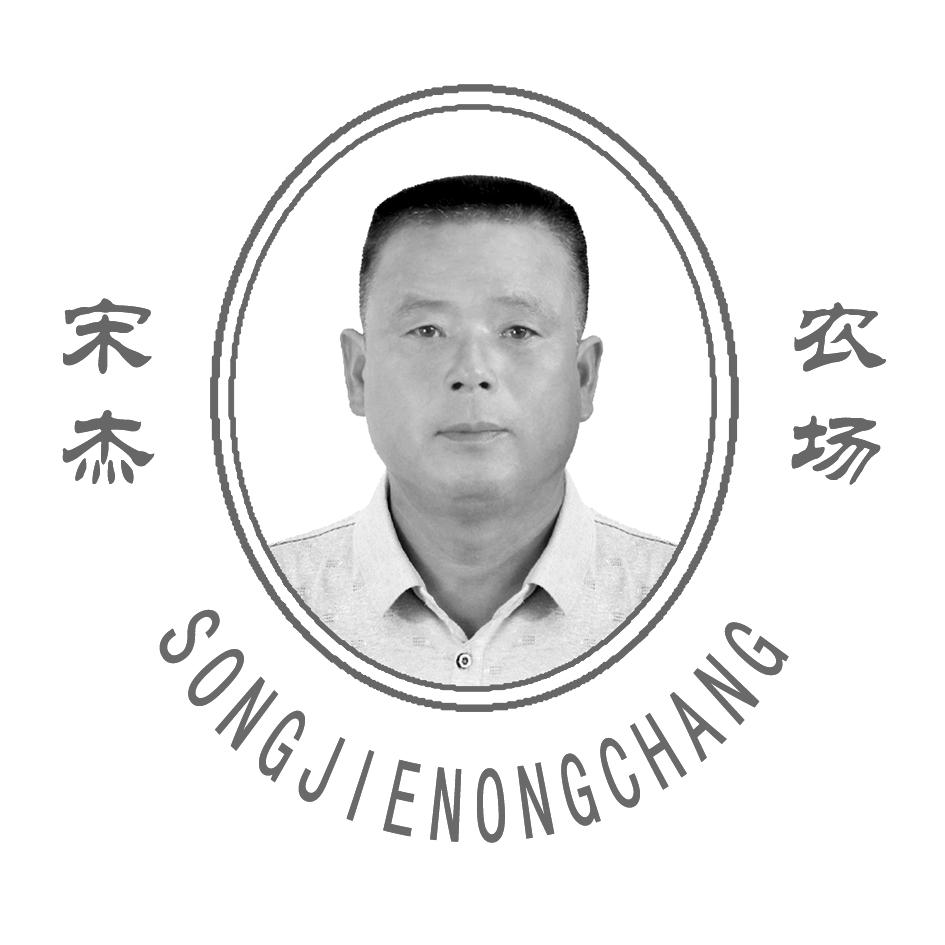 宋杰农场