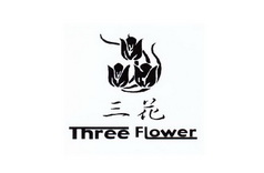 三 花 three flower商标注册申请