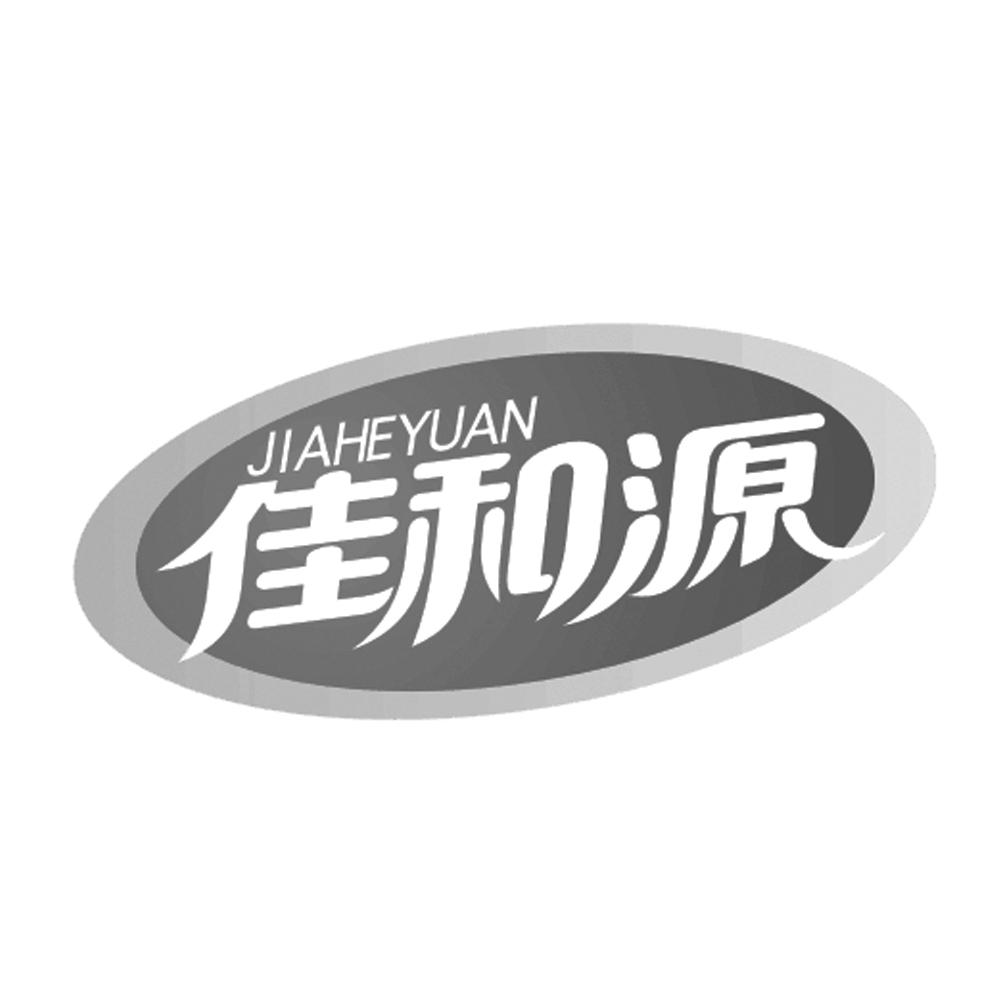 坤和玩具有限公司办理/代理机构:山东远扬知识产权代理有限公司佳和源