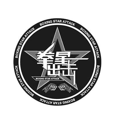拳星出击 em>boxing/em em>star/em attack