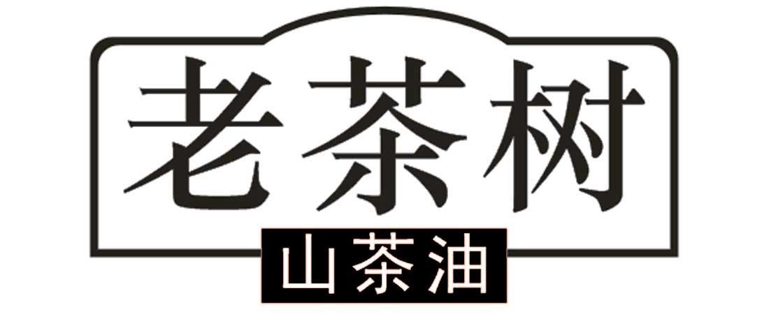 em>老茶树/em em>山/em em>茶油/em>