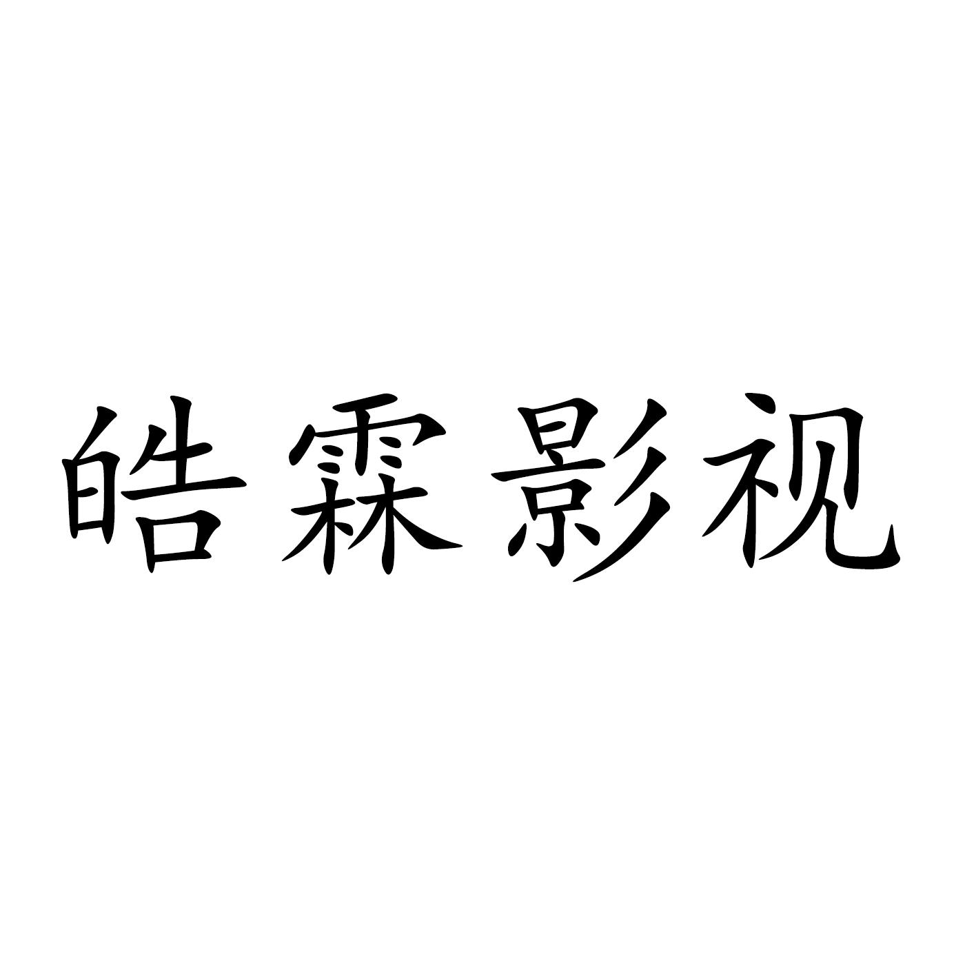 皓霖影视