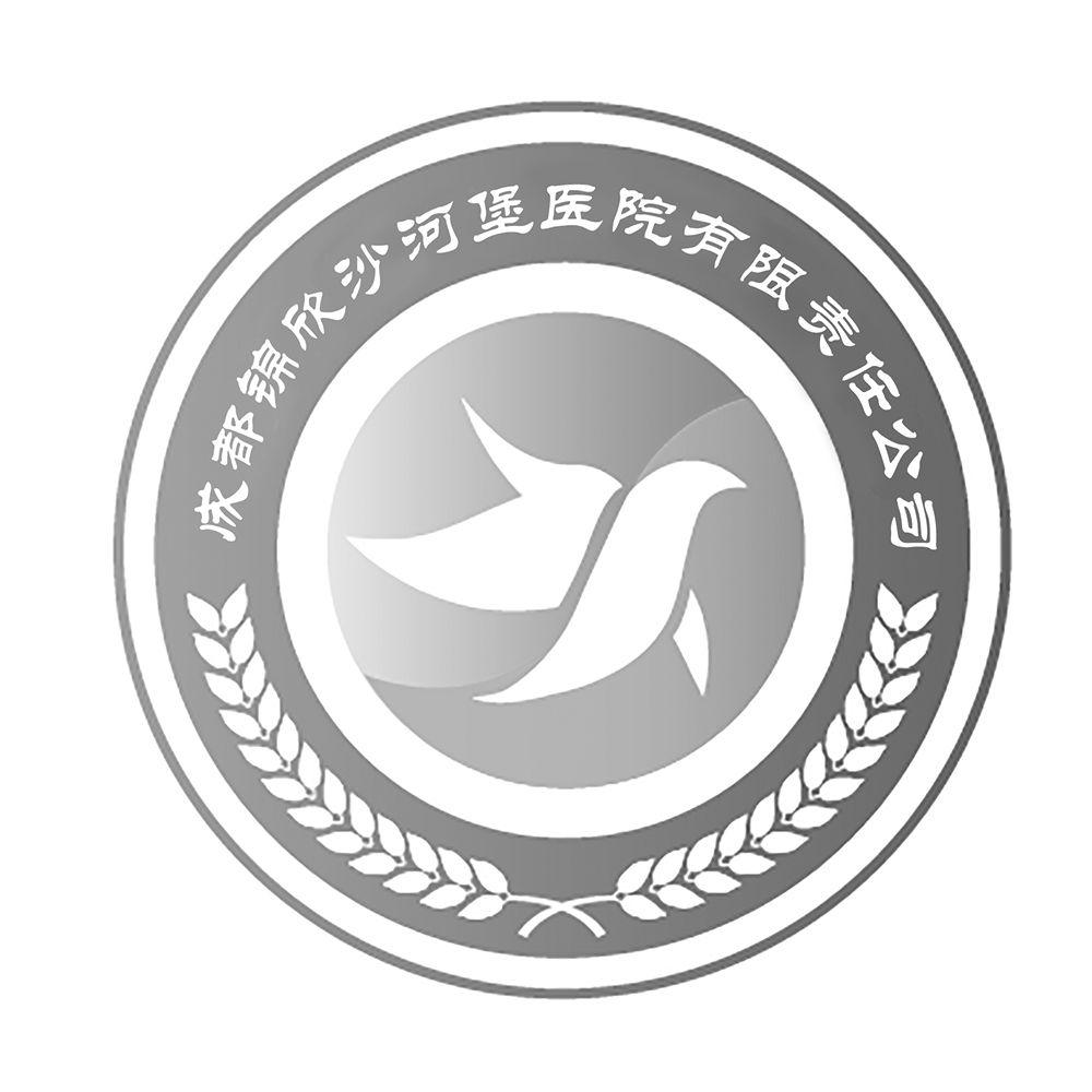 成都锦欣沙河 em>堡 /em>医院有限责任 em>公司 /em>