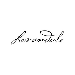 lavandula