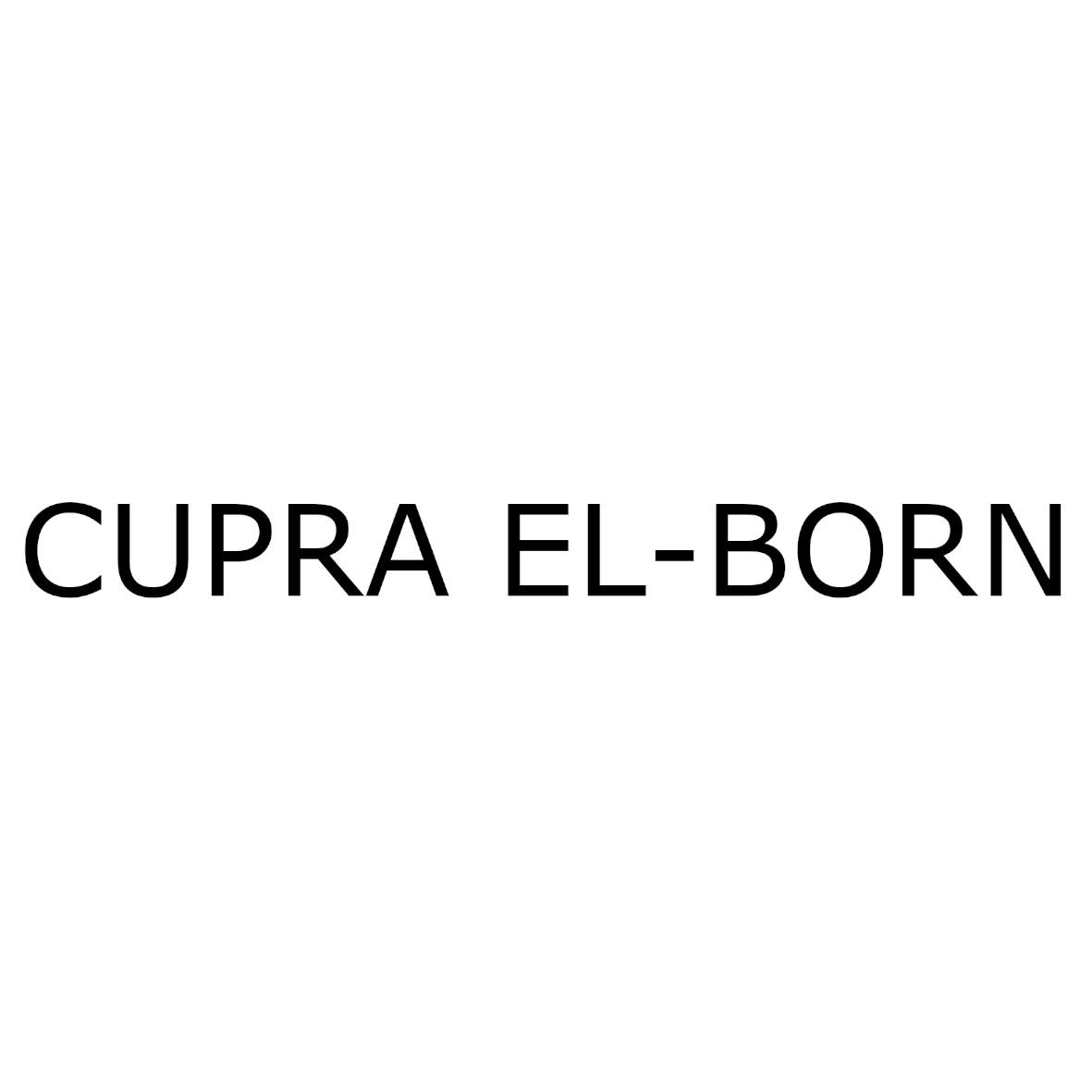 cupra el-born