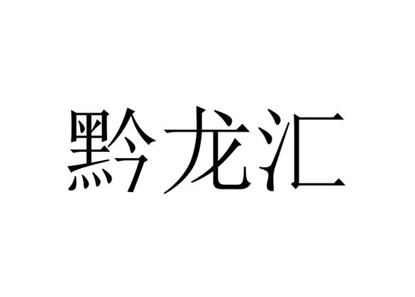 分类:第30类-方便食品商标申请人:贵州黔龙商贸有限公司办理/代理机构