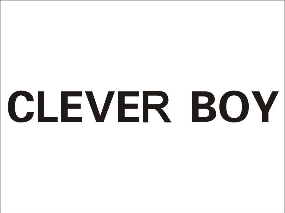  em>clever /em>  em>boy /em>