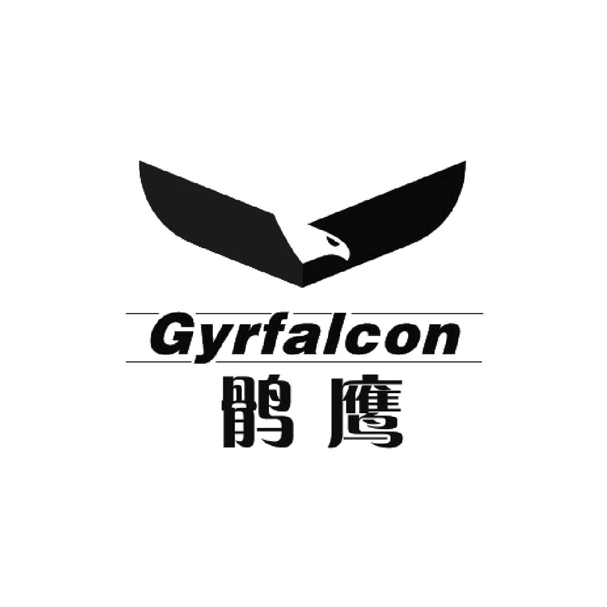 鹘鹰 gyrfalcon