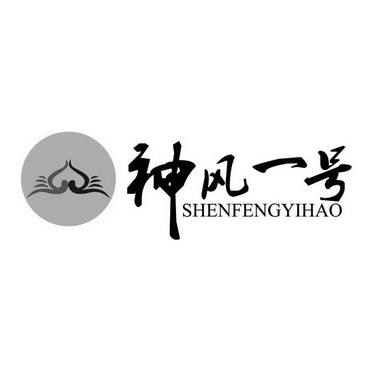 科技有限公司办理/代理机构:天津海顺领航商标专利代理有限公司神风