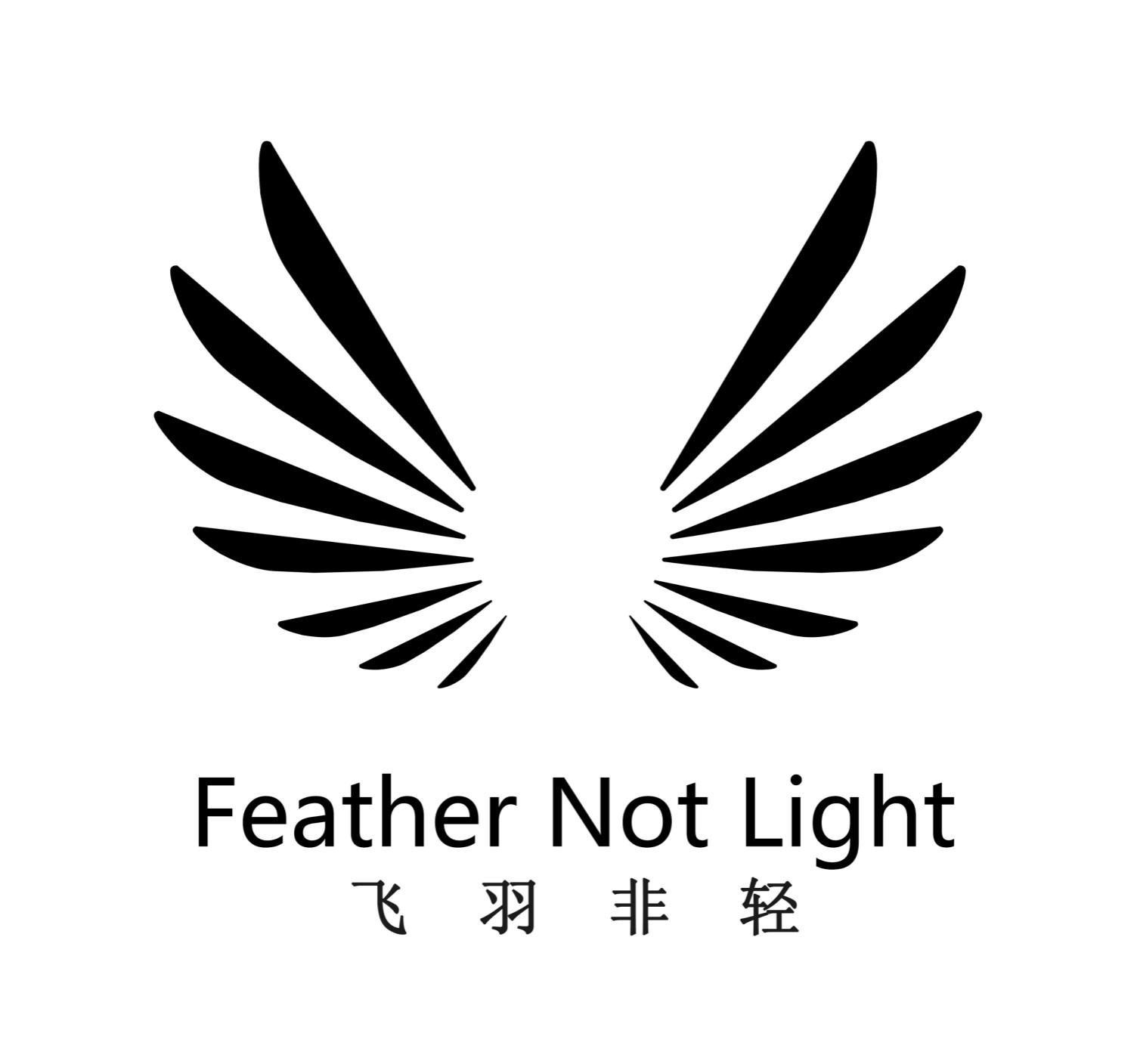  em>飞羽 /em>非 em>轻 /em> feather not light
