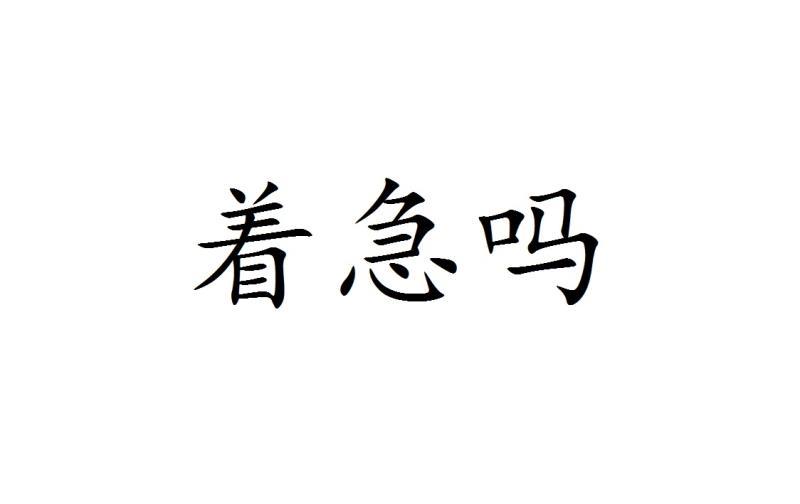 着急吗等待实质审查