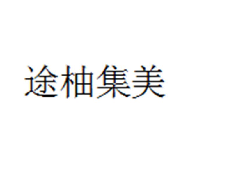 2021-04-10国际分类:第09类-科学仪器商标申请人: 途柚(厦门)汽车科技