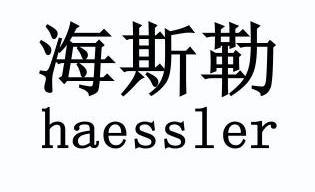 海斯勒haessler