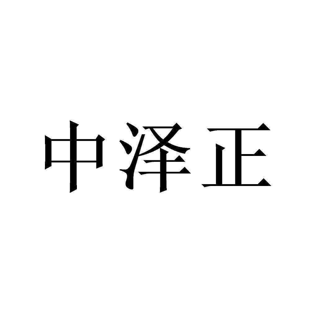 中 泽正初审公告