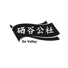 硒谷公社sevalley_企业商标大全_商标信息查询_爱企查