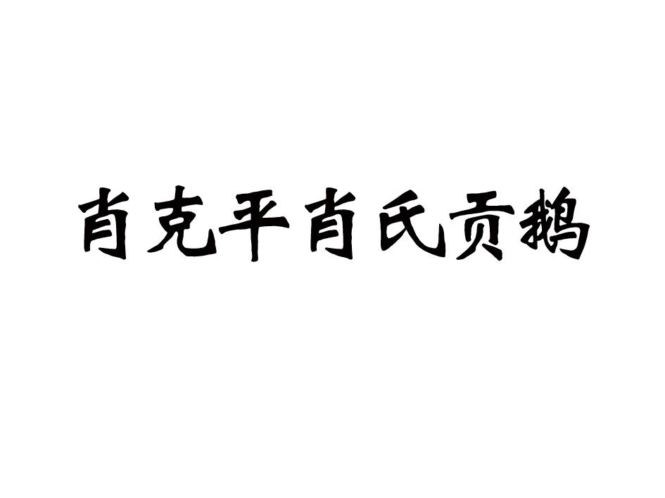  em>肖克平 /em> em>肖氏 /em> em>贡 /em> em>鹅 /em>