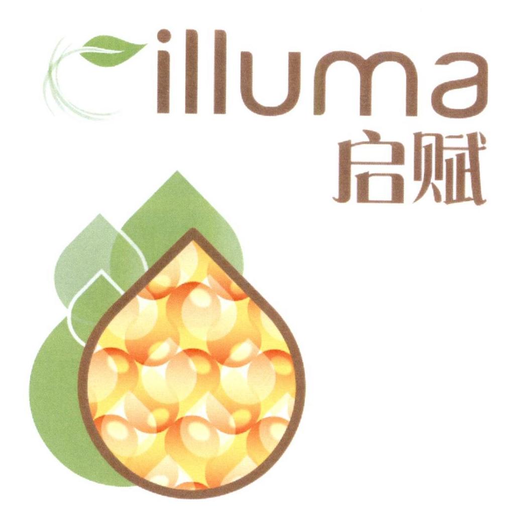 illuma启赋 企业商标大全 商标信息查询 爱企查