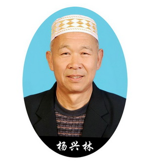 杨兴林