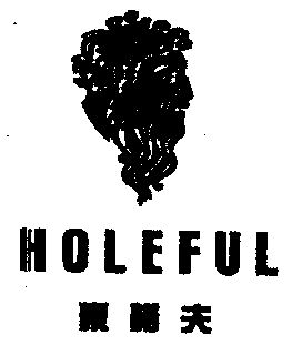 em>豪诺夫/em em>holeful/em>