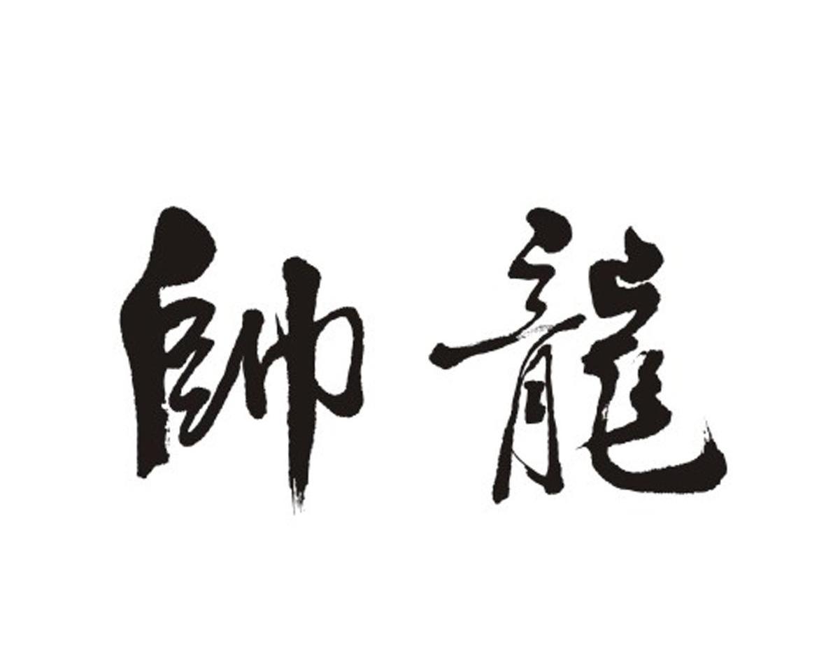 em>帅龙/em>