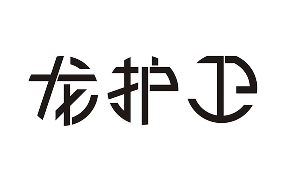  em>龙 /em> em>护卫 /em>