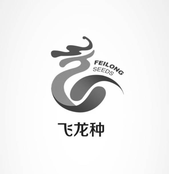 飞龙种