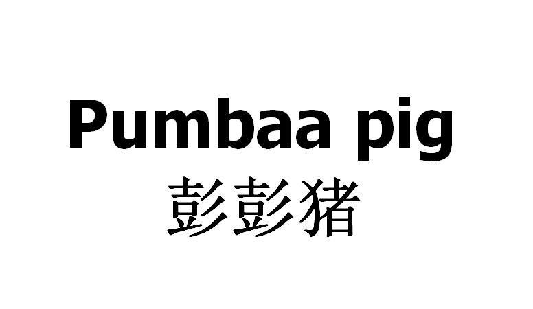  em>彭彭猪 /em> pumbaa pig