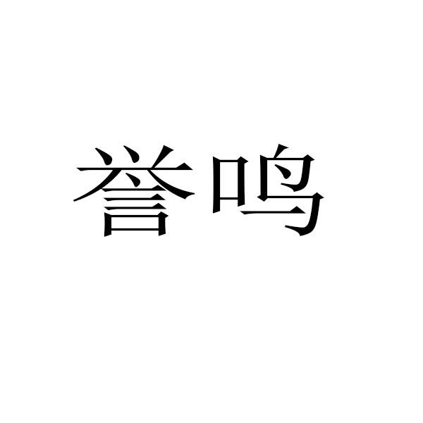 小钢炮知识产权有限公司申请人:深圳市至诚至上科技有限公司国际分类