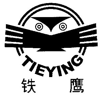 铁鹰