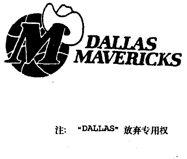  em>dallas /em>  em>mavericks /em>