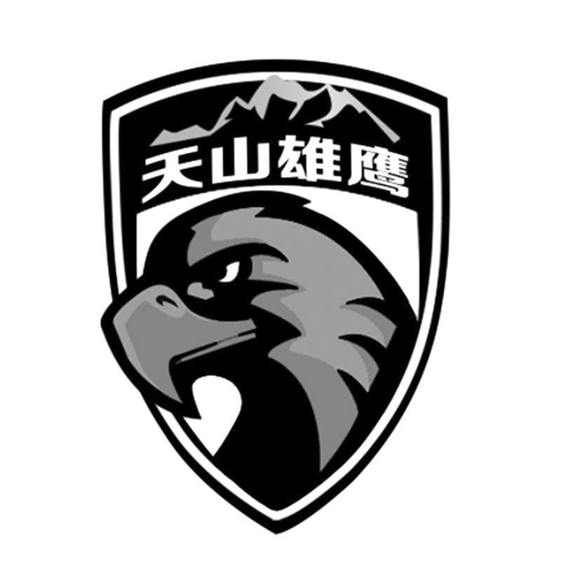 em>天山/em em>雄鹰/em>