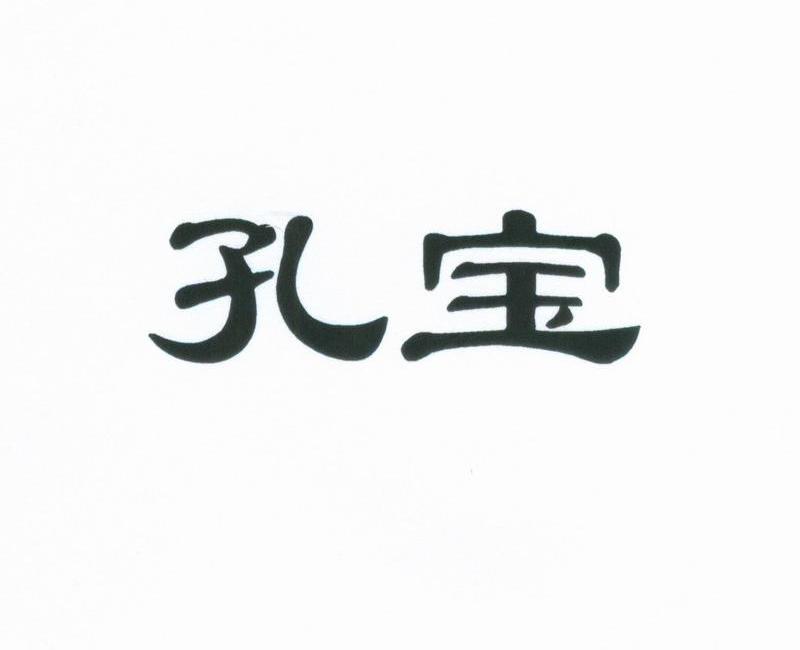 em>孔宝/em>