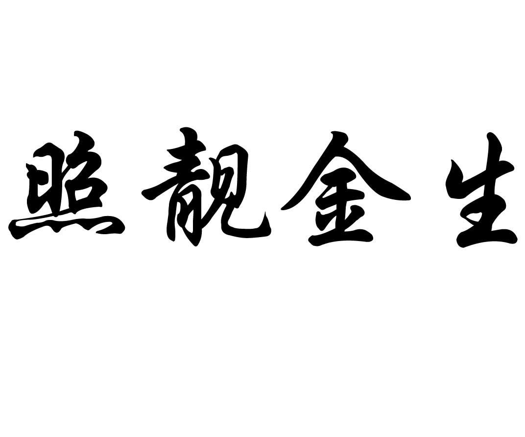 照靓_企业商标大全_商标信息查询_爱企查