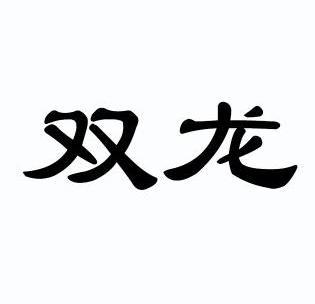 双龙 商标注册申请注册公告排版完成