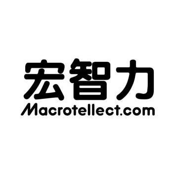 宏智力 macrotellect.