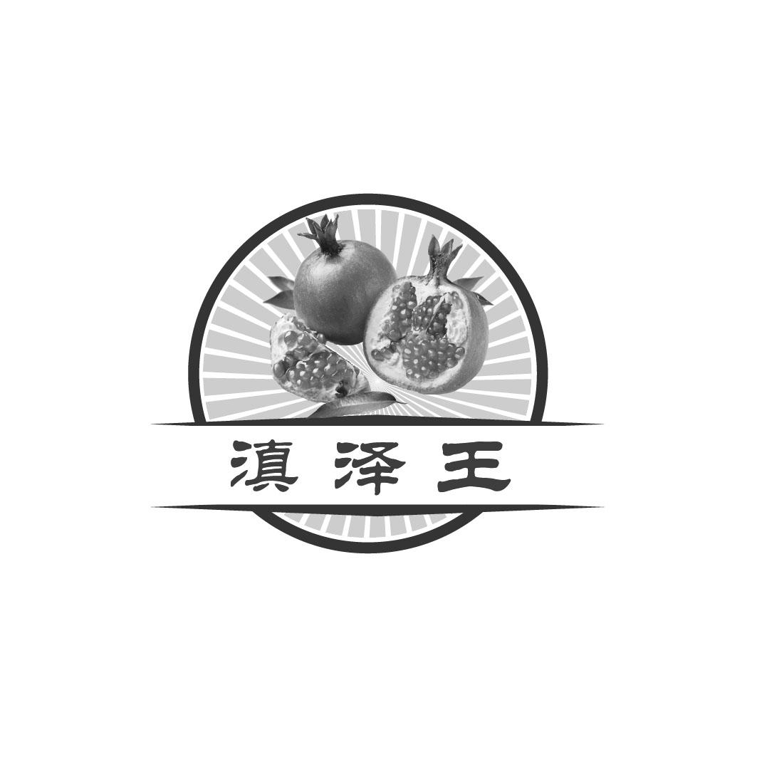 滇 泽 王商标注册申请完成
