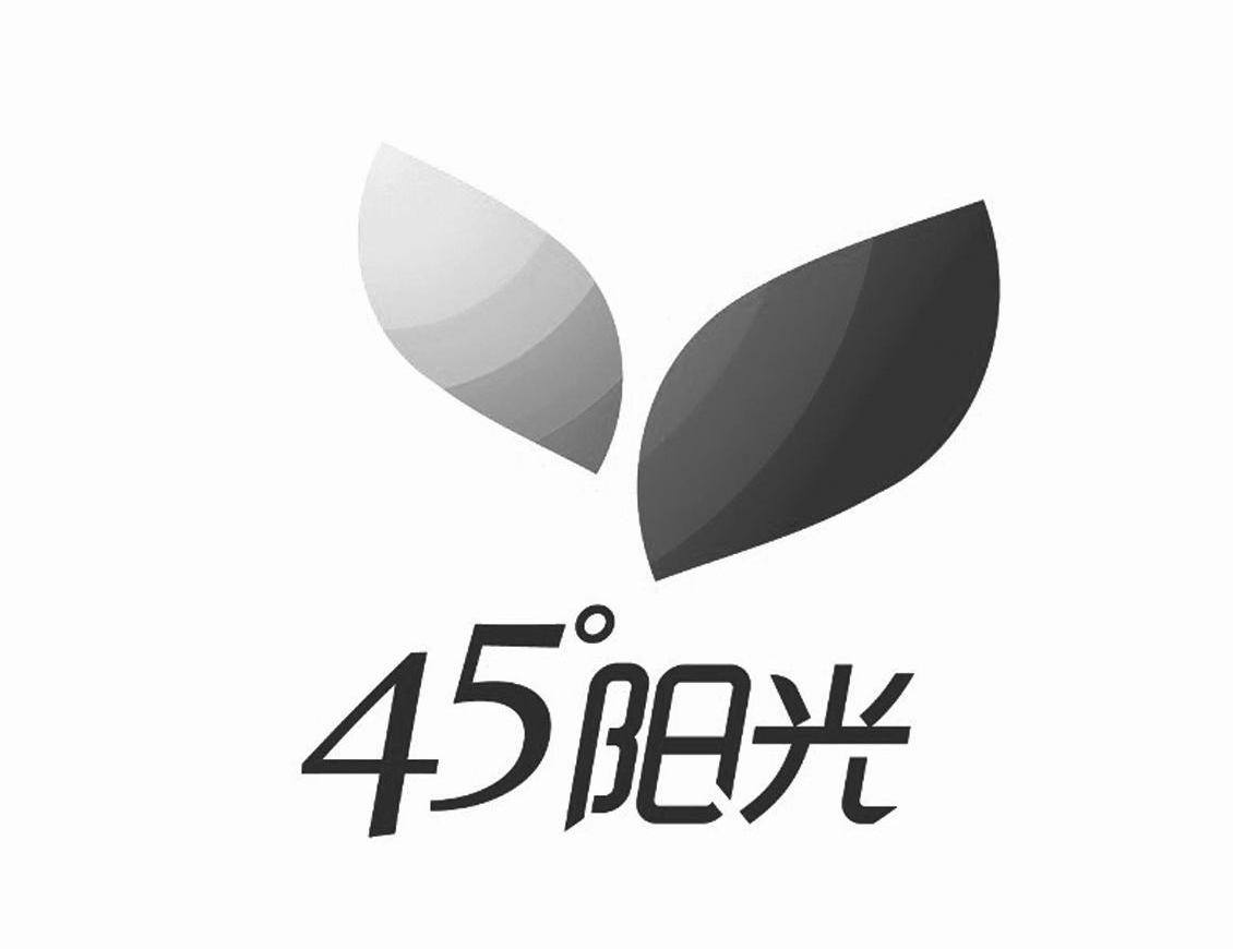 阳光 45°商标无效