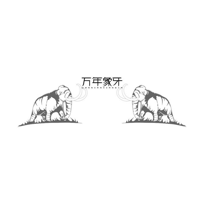 万年象牙