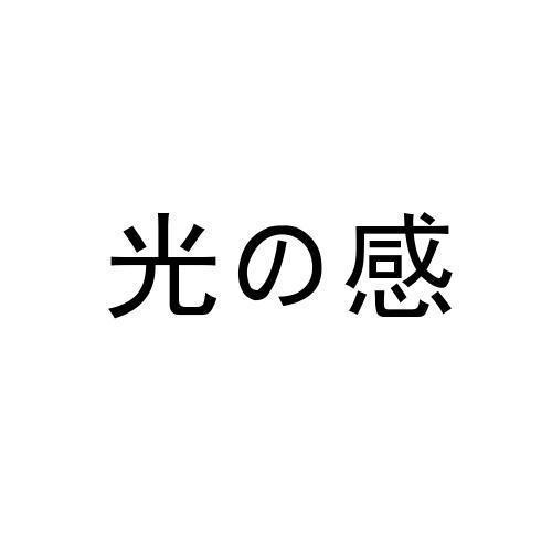 em>光感/em>