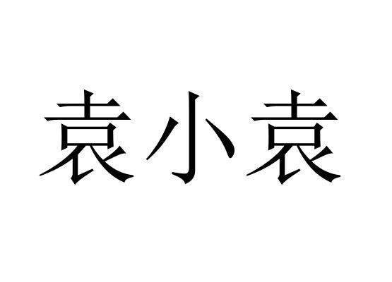 em>袁小袁/em>