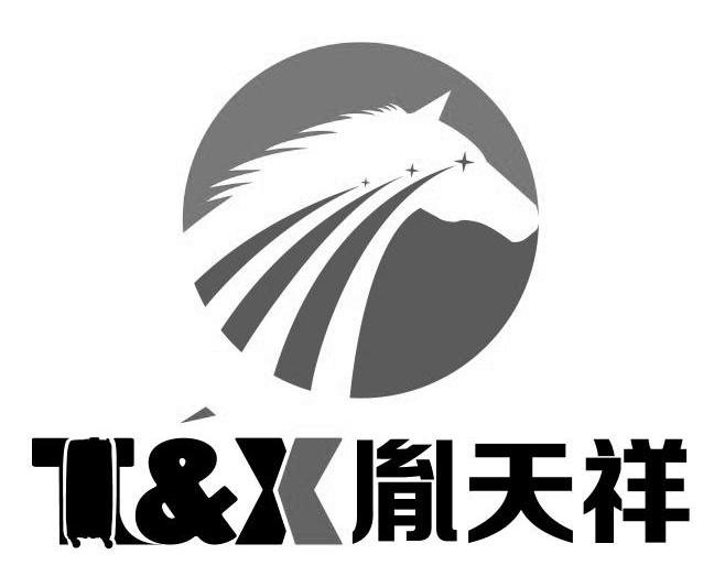 em>胤天祥/em t&x