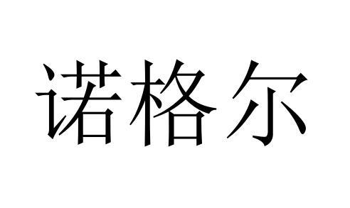 诺格尔