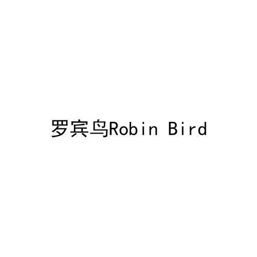 em>罗宾鸟/em robin bird