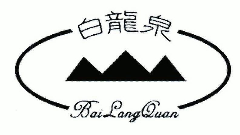 王太宇办理/代理机构:驻马店市同志商标事务所白龙泉商标注册申请申请