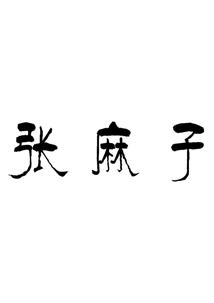 em>张麻子/em>
