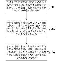 骨健康评估模型构建方法,装置,设备,介质及评估方法-爱企查