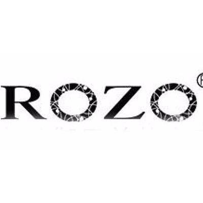 ROZO - ROZO公司 - ROZO竞品公司信息 - 爱企查